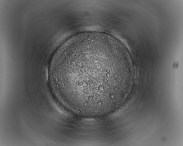 X0000091100061200708201531