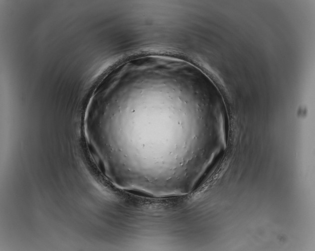 X0000091100062200708201531