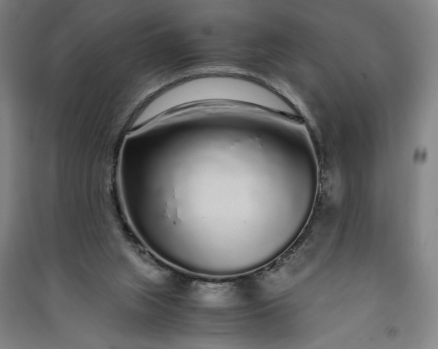 X0000091100063200708201531