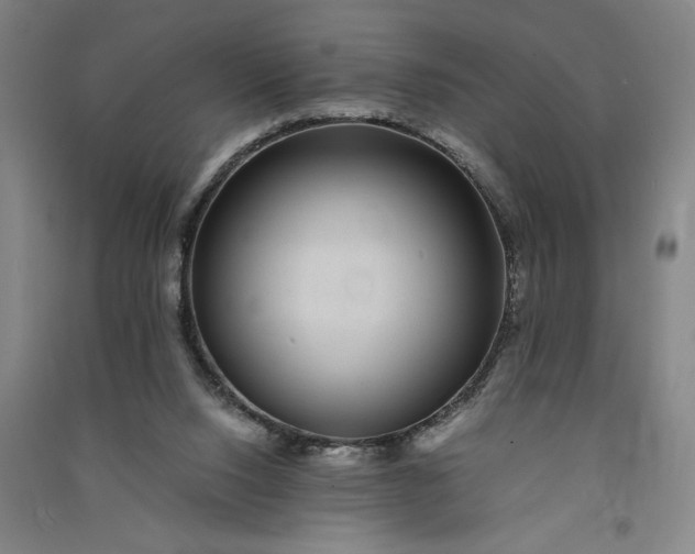 X0000091100064200708201531