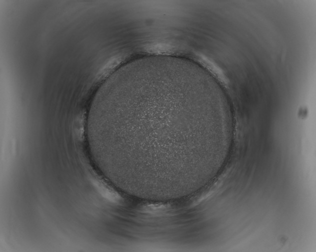 X0000091100065200708201531