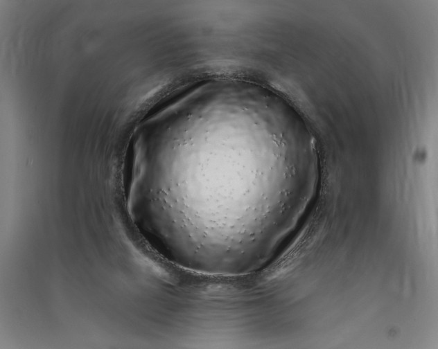 X0000091100066200708201531