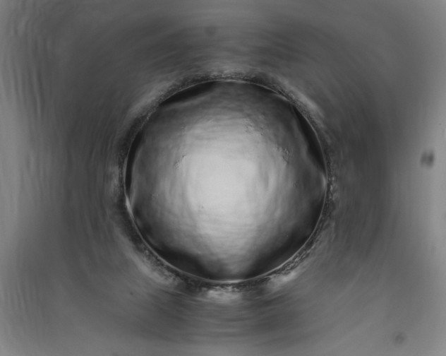 X0000091100067200708201531