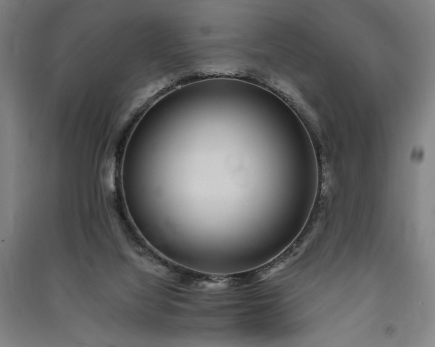 X0000091100068200708201531