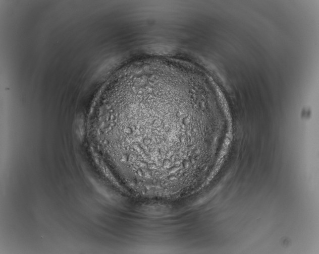 X0000091100069200708201531