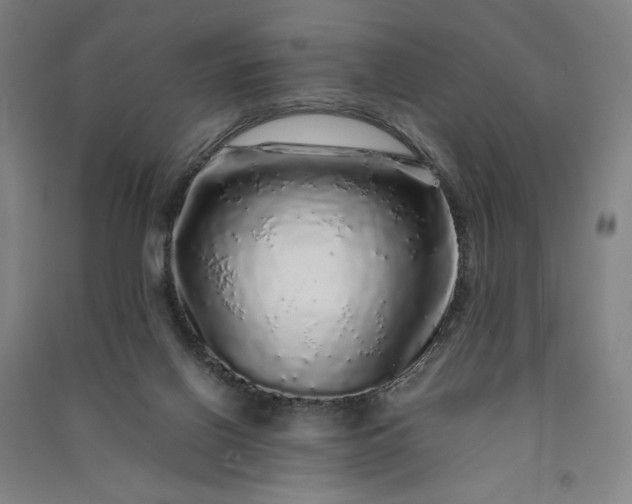 X0000091100070200708201531