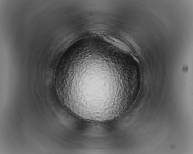 X0000091100073200708201531