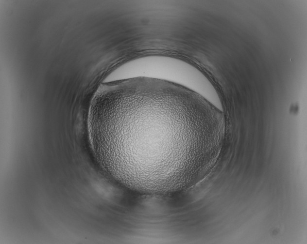 X0000091100074200708201531