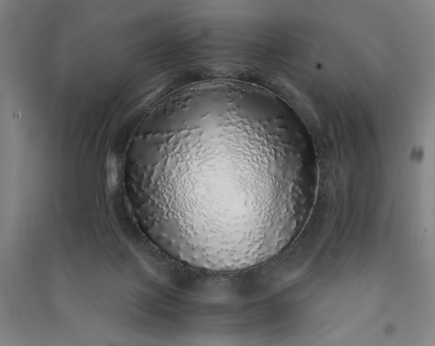 X0000091100075200708201531