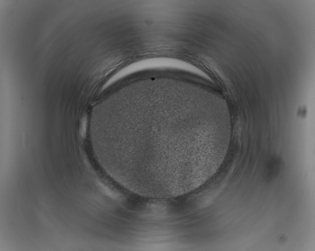 X0000091100076200708201531