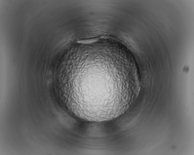 X0000091100077200708201531