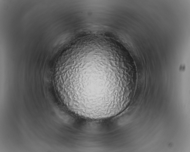 X0000091100078200708201531