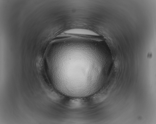 X0000091100079200708201531