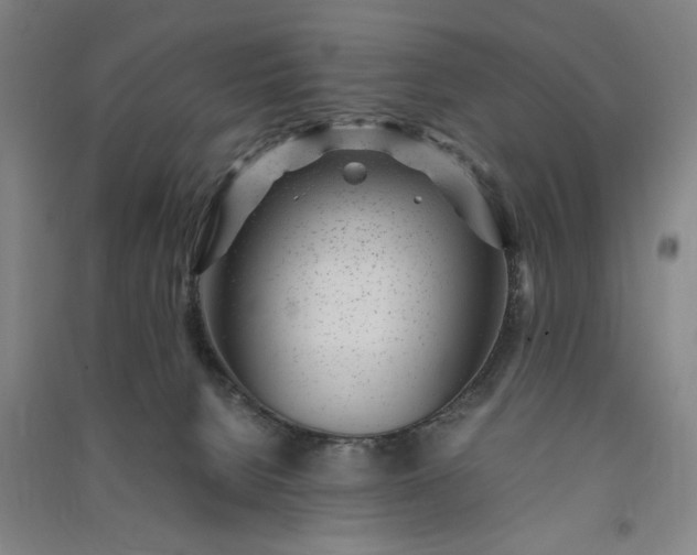 X0000091100080200708201531