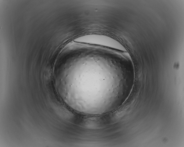 X0000091100081200708201531