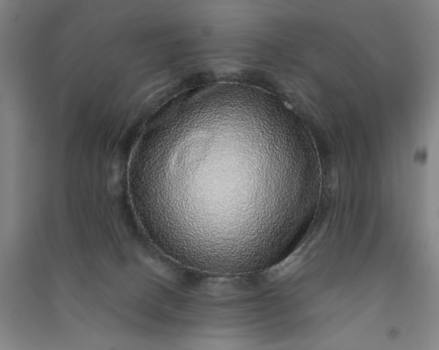 X0000091100082200708201531