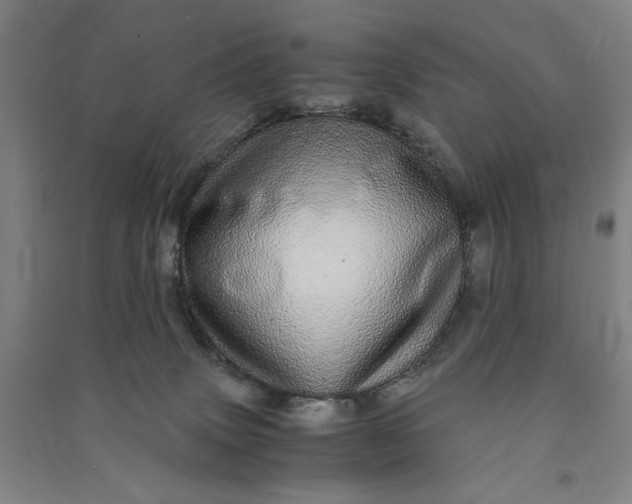 X0000091100083200708201531