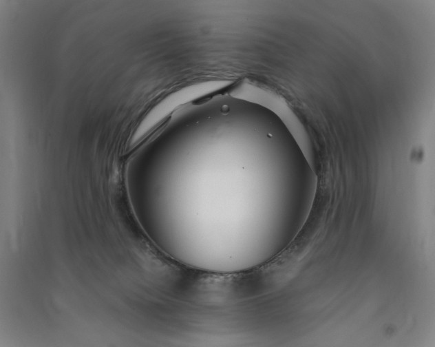 X0000091100084200708201531