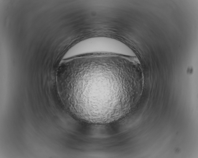 X0000091100085200708201531