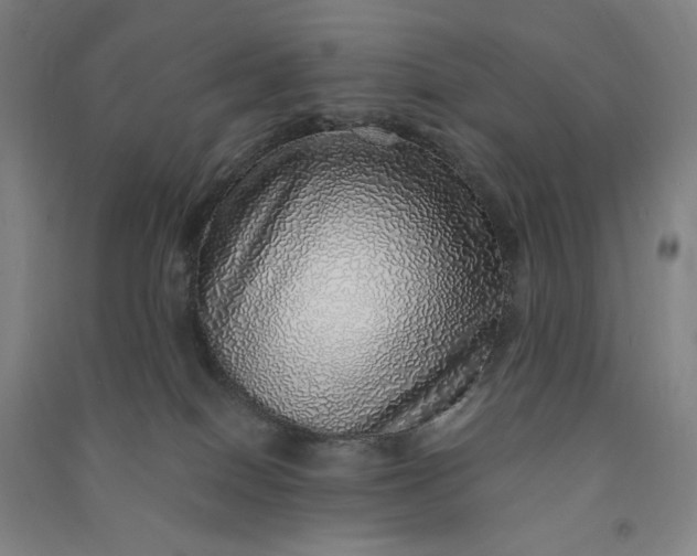 X0000091100086200708201531