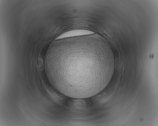 X0000091100087200708201531