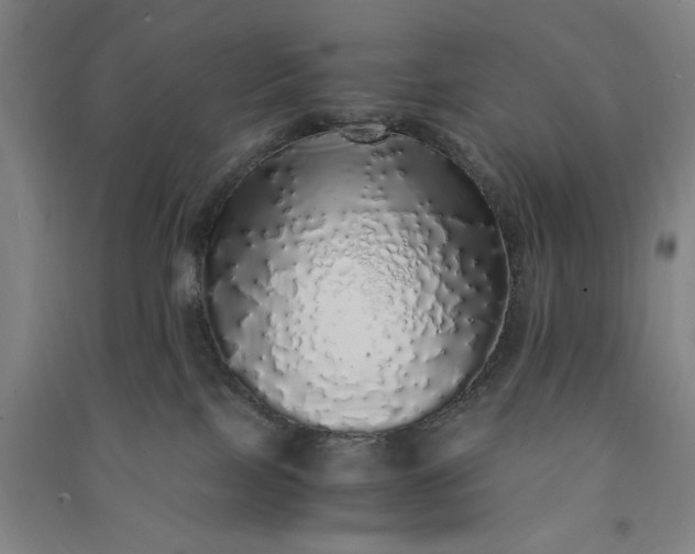 X0000091100089200708201531