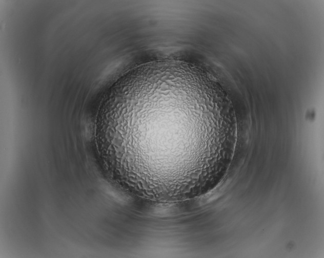 X0000091100090200708201531