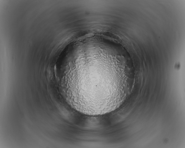 X0000091100091200708201531