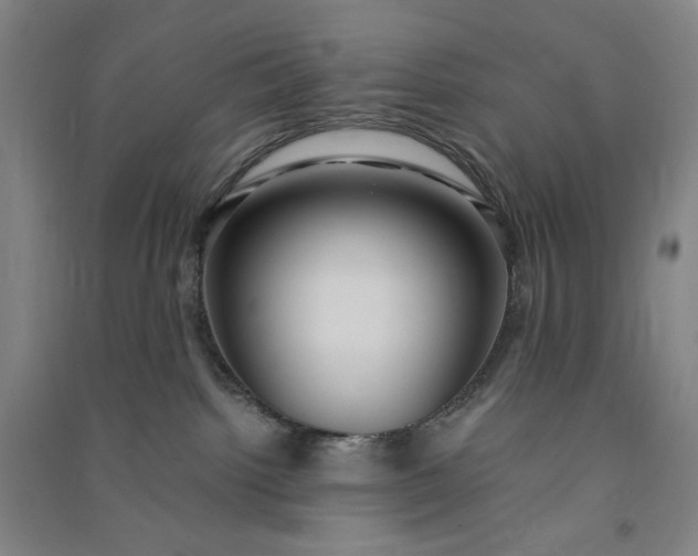 X0000091100092200708201531