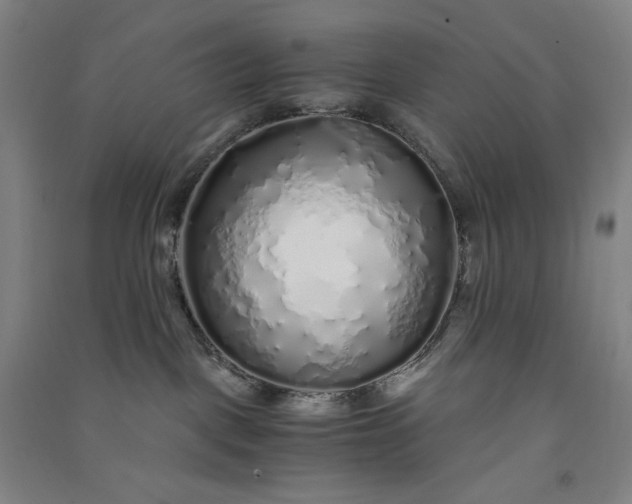 X0000091100093200708201531