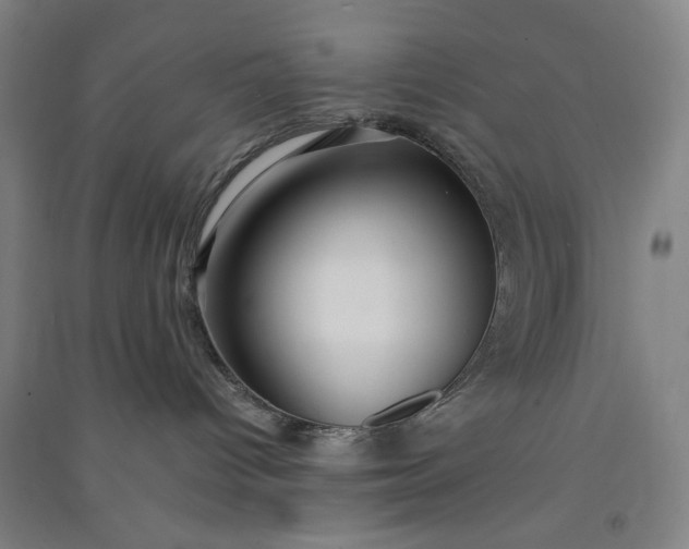 X0000091100096200708201531