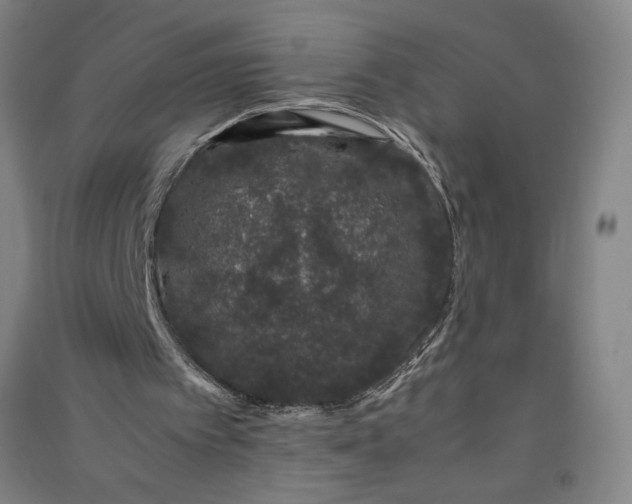 X0000091100097200708201530