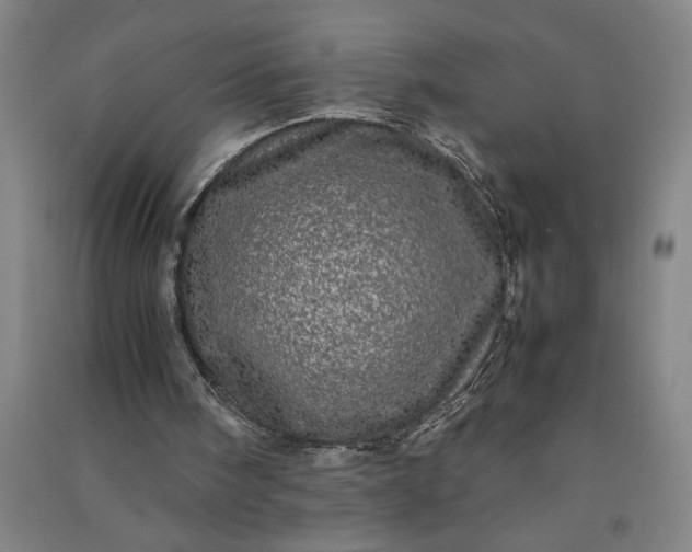 X0000091100098200708201530