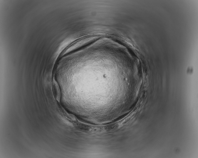 X0000091100099200708201530