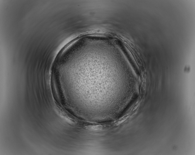 X0000091100100200708201530