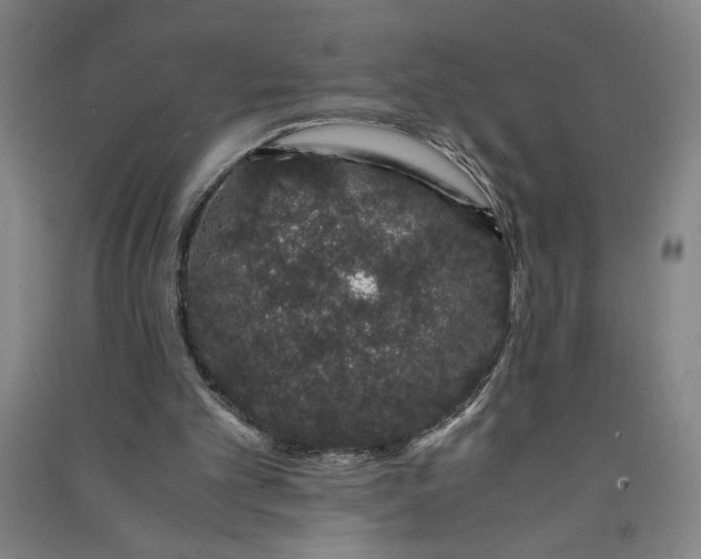 X0000091100101200708201530