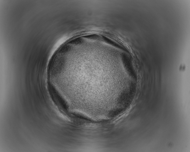 X0000091100102200708201530