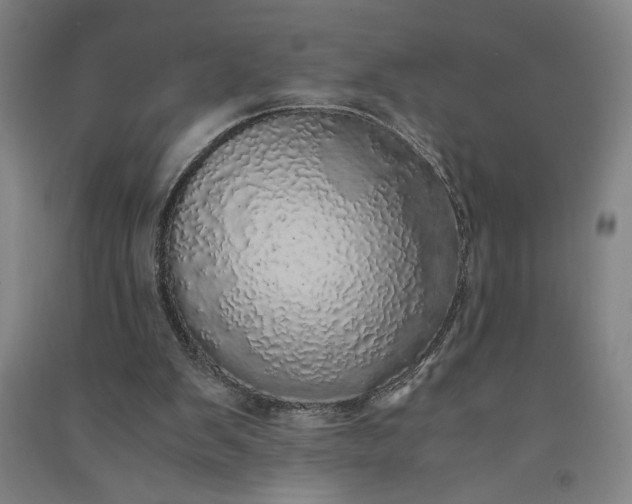 X0000091100103200708201530