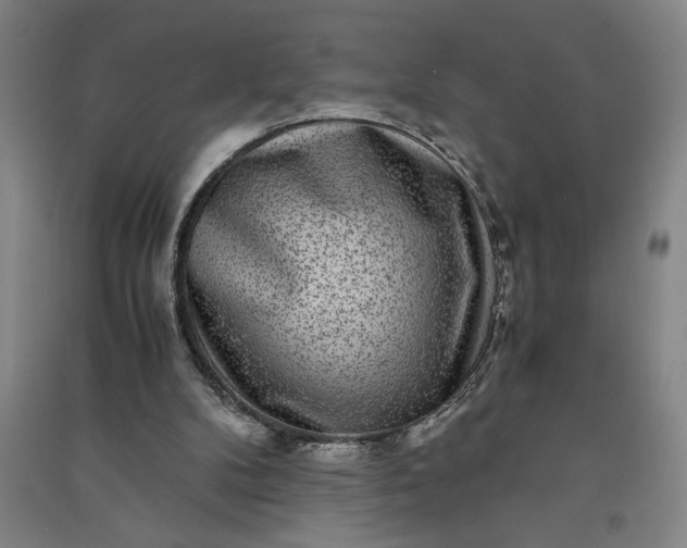 X0000091100104200708201530