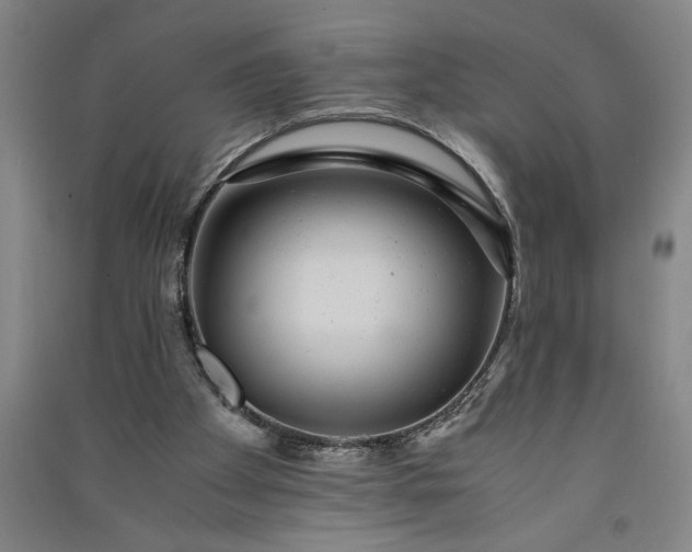 X0000091100105200708201530