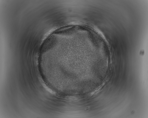 X0000091100106200708201530