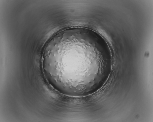 X0000091100107200708201530