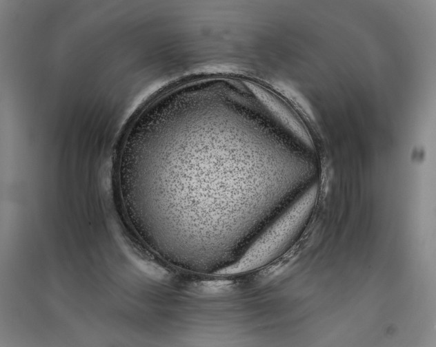 X0000091100108200708201530