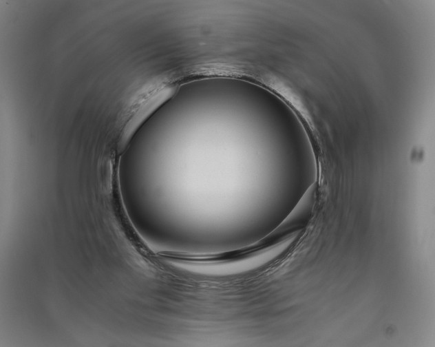 X0000091100109200708201530