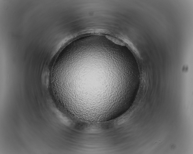 X0000091100110200708201530