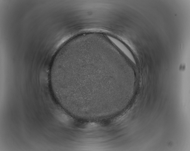 X0000091100111200708201530