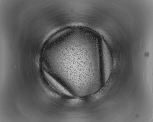 X0000091100112200708201530