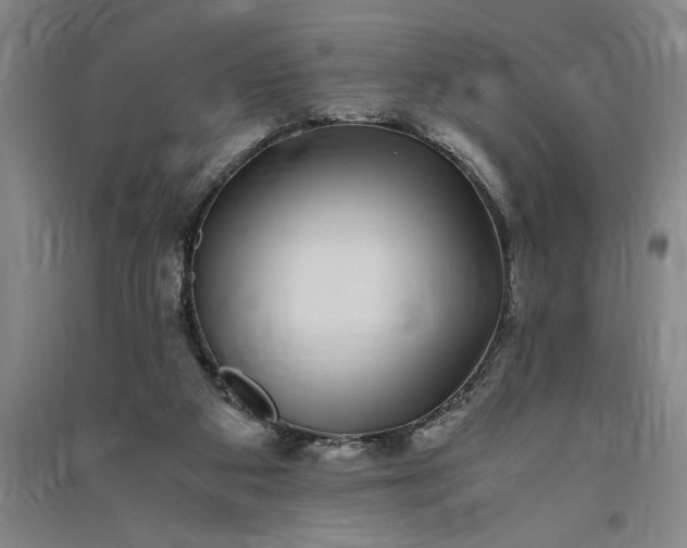 X0000091100113200708201530