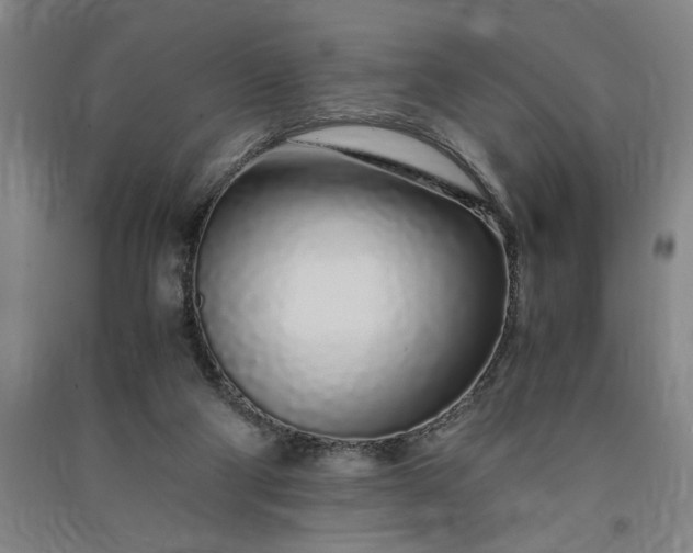 X0000091100114200708201530