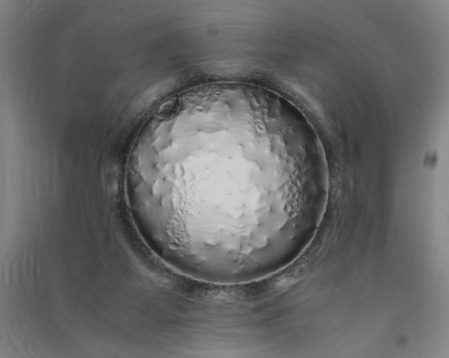 X0000091100115200708201530